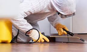 Best Residential Pest Control  in Mulberry, OH